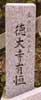 ���厛�L�P����̋ʊ_