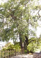 �M����