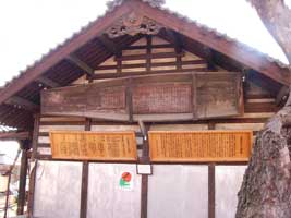 �C�R�O���R����̏M