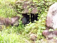 �O���猩���Ύ��̓����